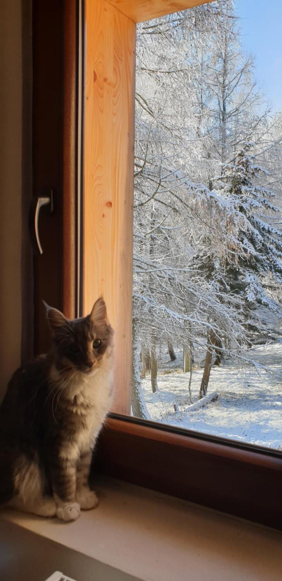 Five Maple Home For Families And Wild Nature Lovers Medenec ภายนอก รูปภาพ