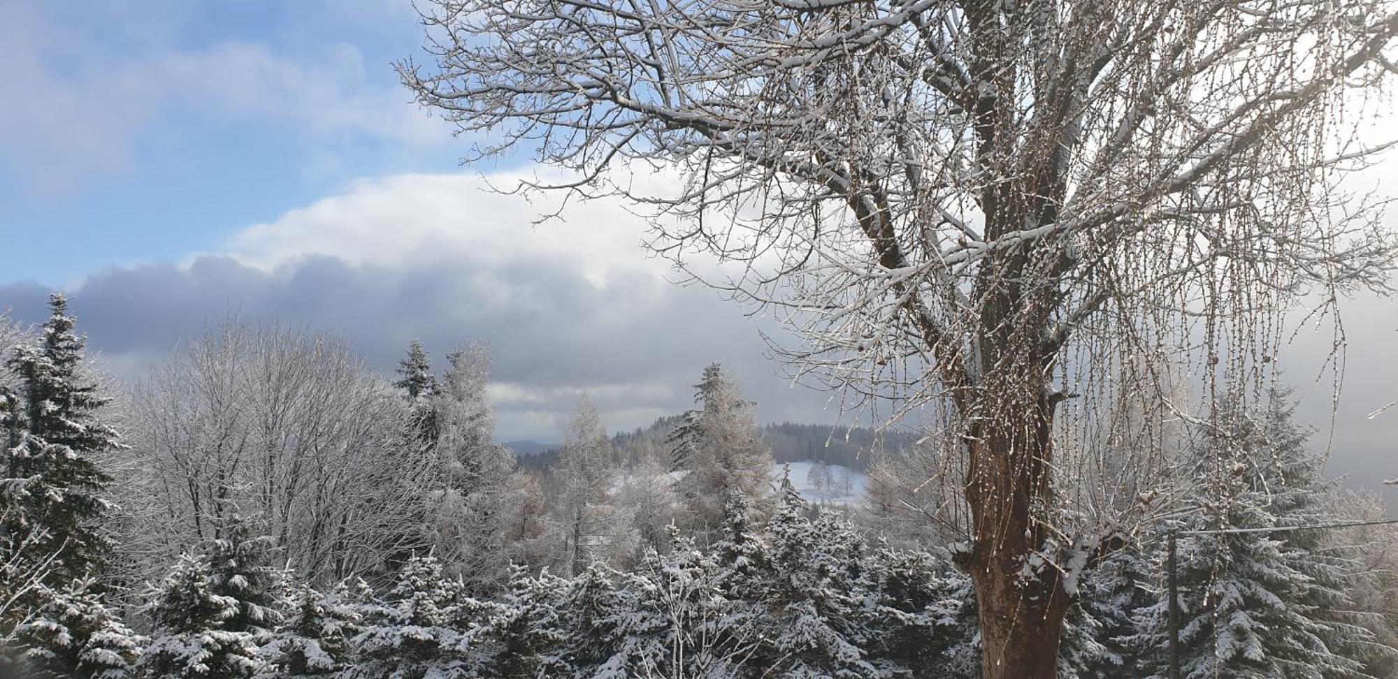 Five Maple Home For Families And Wild Nature Lovers Medenec ภายนอก รูปภาพ